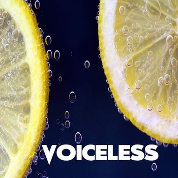 Various Artists - Voiceless
