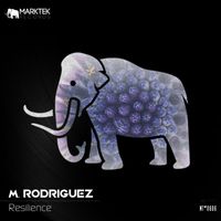 M. Rodriguez - Resilience