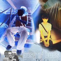 dusy - dusy n' buds