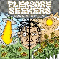 Pleasure Seekers - missing pieces.
