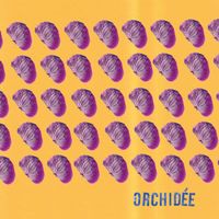 Schmack, KOOB - Orchidée