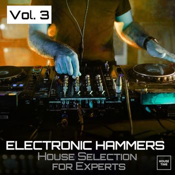 Various Artists - Electronic Hammers, Vol. 3 (House Selection for Experts)