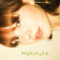 Lisa Jacobs - Wildflower