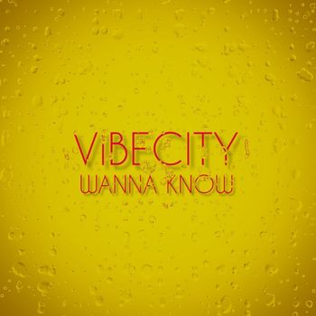 VIBECITY - WANNA KNOW