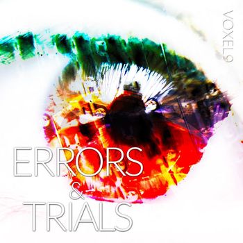 Voxel9 - Errors and Trials