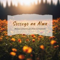 Rui Paz Almeida - Sossego na Alma: Músicas Calmantes para Alívio da Ansiedade