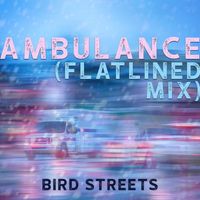 Bird Streets - Ambulance (Flatlined Mix)