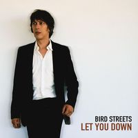 Bird Streets - Let You Down (Radio Edit)
