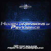 Random, DoctorSpook - Hidden Dimensions of Psytrance - 30 Top Sounds from the Underground