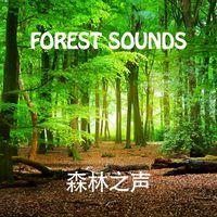 Tony Star - Forest Sounds
