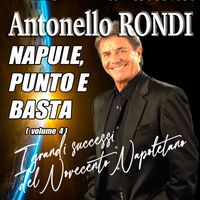 Antonello Rondi - Napule, punto e basta, Vol. 4: I Grandi Successi del Novecento Napoletano