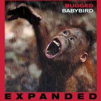 Babybird - Bugged (Expanded)