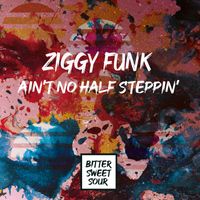 Ziggy Funk - Ain't No Half Steppin'