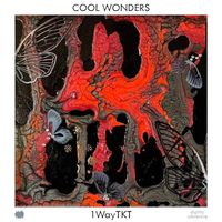 1WayTKT - Cool Wonders