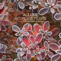 Allure - No More Tears (Cameron Mo & Seegmo Remix)
