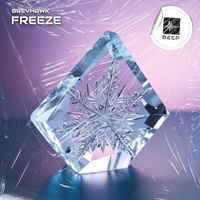 Greyhawk - Freeze