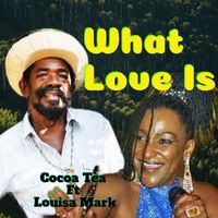 Cocoa Tea - What Love Is