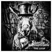 Sterile Hermaphrodite - The Loop