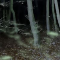 djb - Slavic phantasmagoria. Orphanage of meanings OST