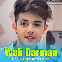 Wali Darman - Dasi Sanga Kezi Spina