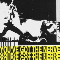 Bad Nerves - You've Got The Nerve