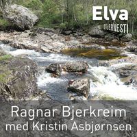 Ragnar Bjerkreim - Elva (Radio Version)