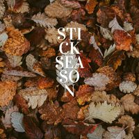 Simone Del Freo - Stick Season (Instrumental)