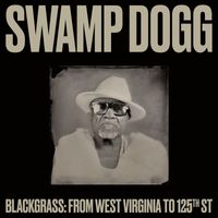 Swamp Dogg - Mess Under That Dress