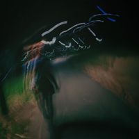 Nocturnal Animals - Ashlee's Berceuse