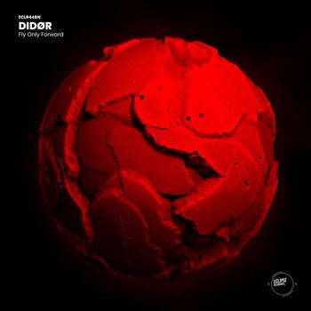 DIDØR - Fly Only Forward