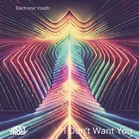 Electronic Youth - I Don't Want You