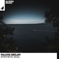 Falcos Deejay - Synthetic Soul