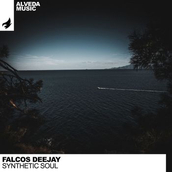 Falcos Deejay - Synthetic Soul