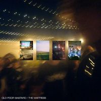 The Customers - Old Poor Bastard / The Waitress (Explicit)