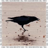 Will Pope - Black Bird Fever