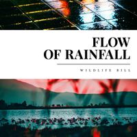 Wildlife Bill - Flow of Rainfall