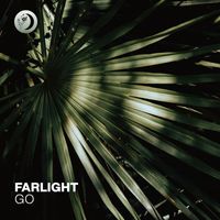FarLight - Go