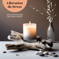Musique Relaxante Univers - Libération du Stress: Sons Apaisants pour Soulager l'Anxiété