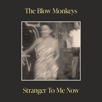 The Blow Monkeys - Stranger To Me Now