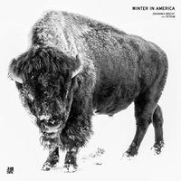 Johannes Brecht - Winter in America