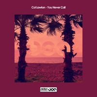 Col Lawton - You Never Call