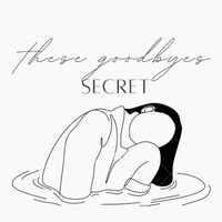 Secret - These Goodbyes