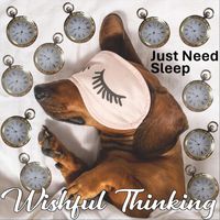 Wishful Thinking - Just Need Sleep