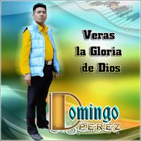 Domingo Perez - Veras la Gloria de Dios