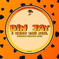 Din Jay - I Know You Feel
