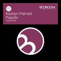 Kaddyn Palmed - Pajarillo