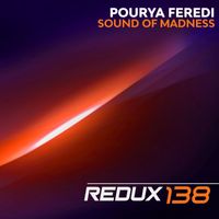 Pourya Feredi - Sound of Madness