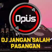 DJ Opus - DJ Jangan Salah Pasangan
