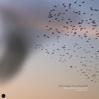 Shinsuke Tsuchiuchi - Migration Patterns EP