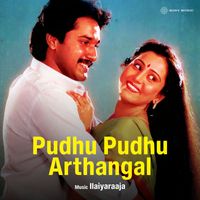 Ilaiyaraaja - Pudhu Pudhu Arthangal (Original Motion Picture Soundtrack)